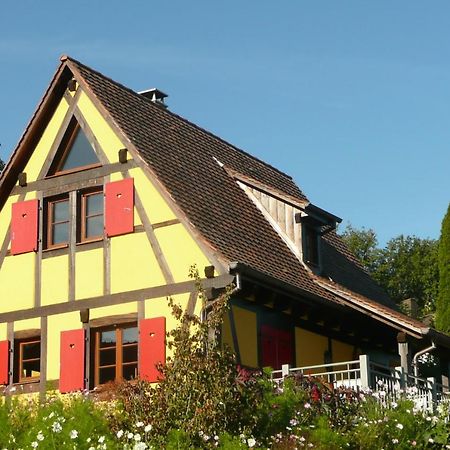 Hotel La Pomme De Pin Raedersdorf Esterno foto