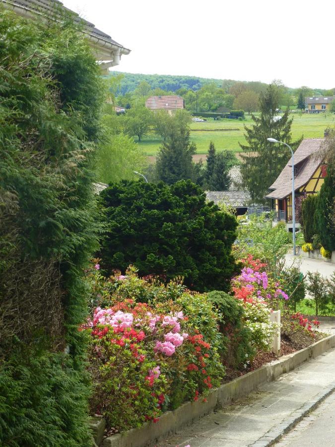 Hotel La Pomme De Pin Raedersdorf Esterno foto