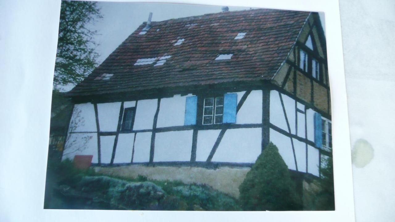 Hotel La Pomme De Pin Raedersdorf Esterno foto